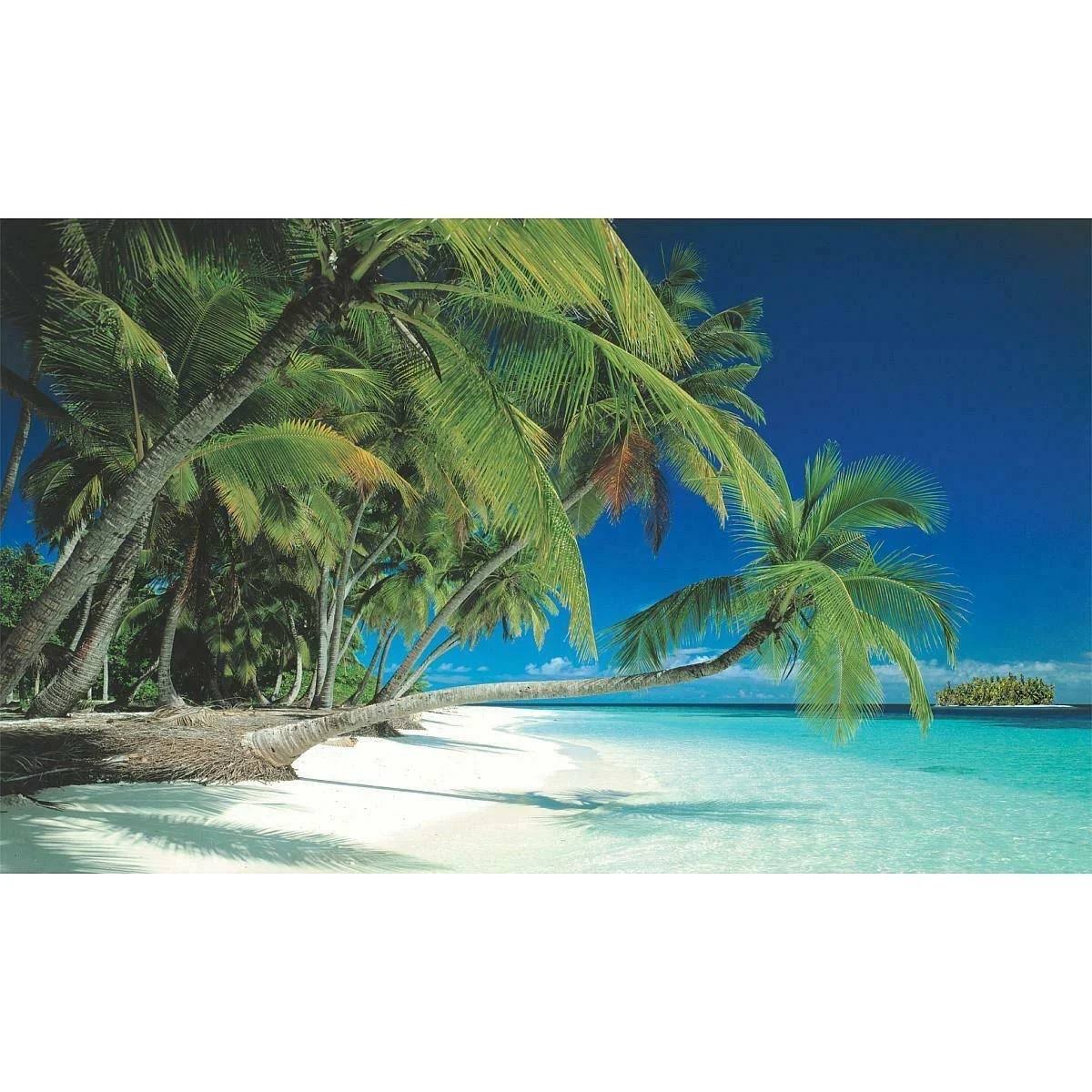 Beach Mural O54542