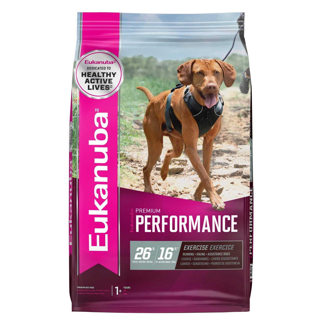 Dry Dog Food U837626