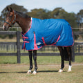 Medium Blueberry/Pink Standard Neck W250