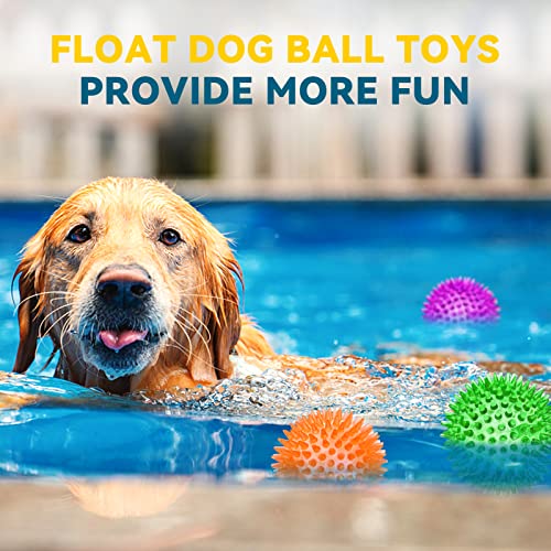 4.5'' Squeaky Dog Toy Balls, Spiky Dog Balls, Durable Puppy Chew Toys, BPA Free Non-Toxic (Purple) F327653