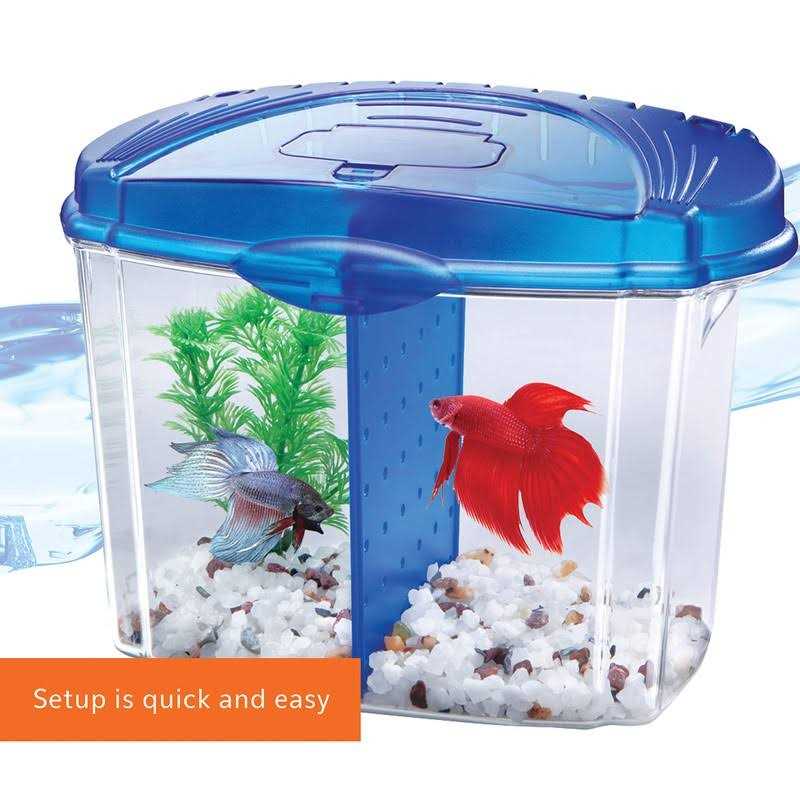 Betta Bowl Kit M531