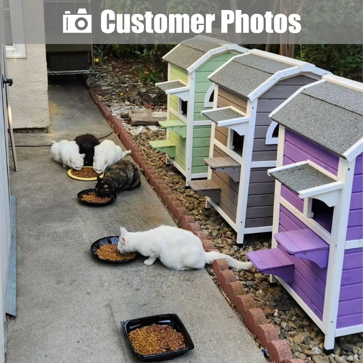 Weatherproof Two Story Wooden Outdoor Cat House R429