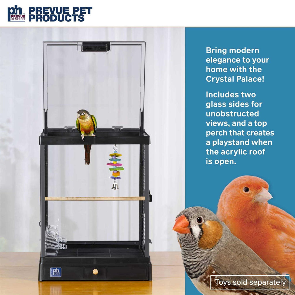 Bird Cage V4818