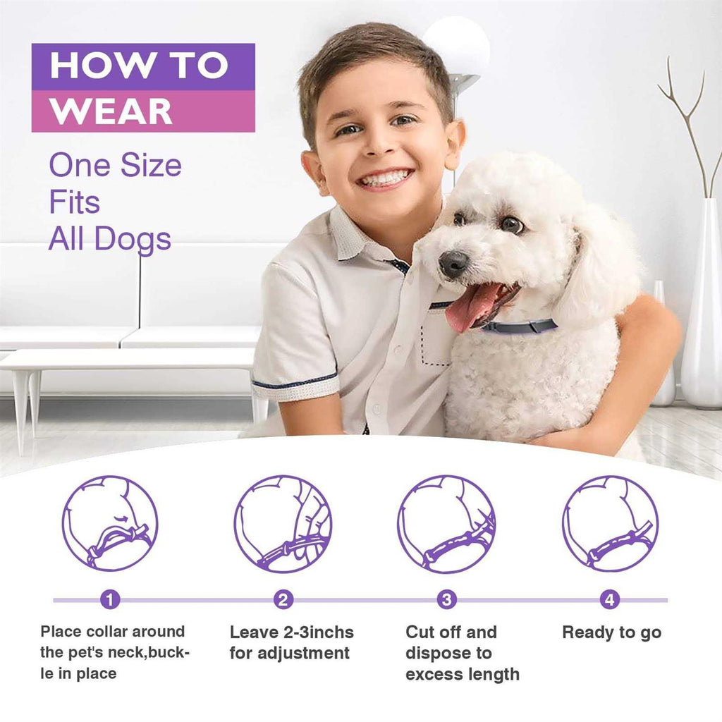 Adjustable Calming Collar 3 Packs N442607