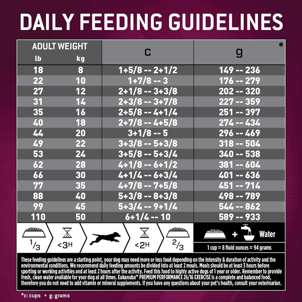 Dry Dog Food U837626