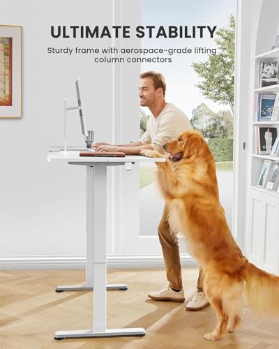 48 x 24 Inches Height Adjustable Electric Standing Desk with Memory S60592