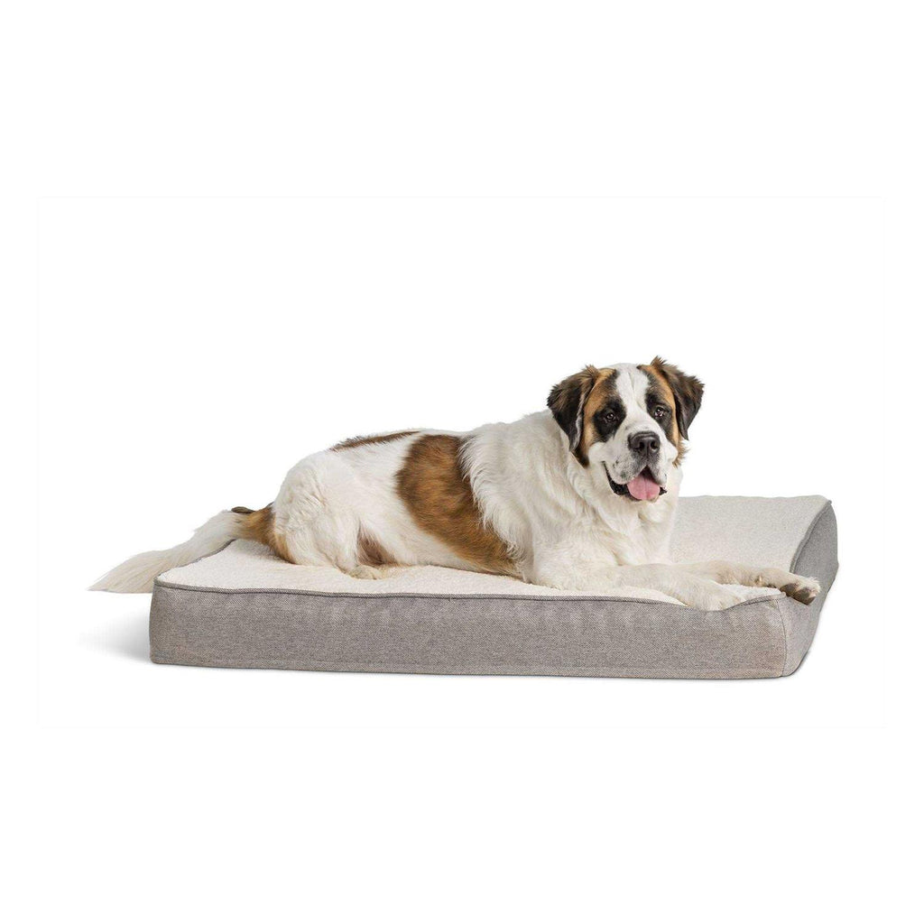 Orthopedic Dog Bed C854286
