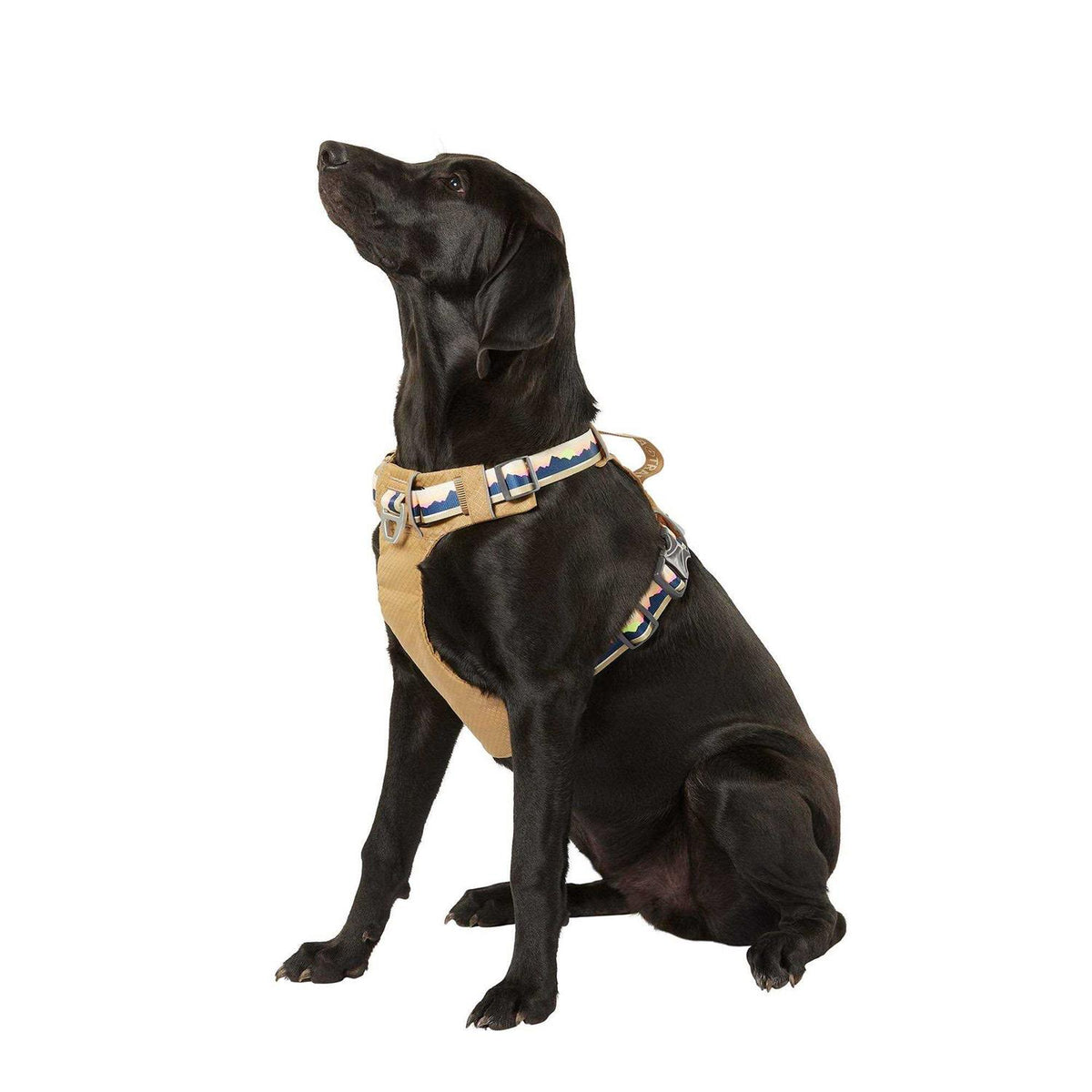 Lightweight Dog Harness Z52792