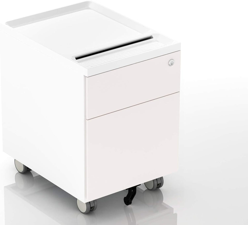 2 Drawer Mobile Filing Cabinet with Lock and Casters D645451