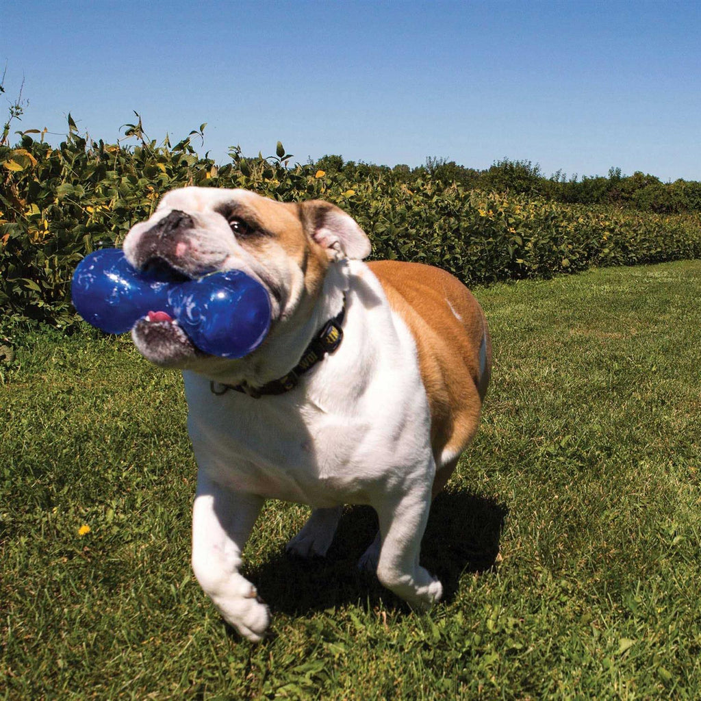 Squeezz Dumbbell Dog Toy U93486