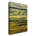Canvas Print W6785