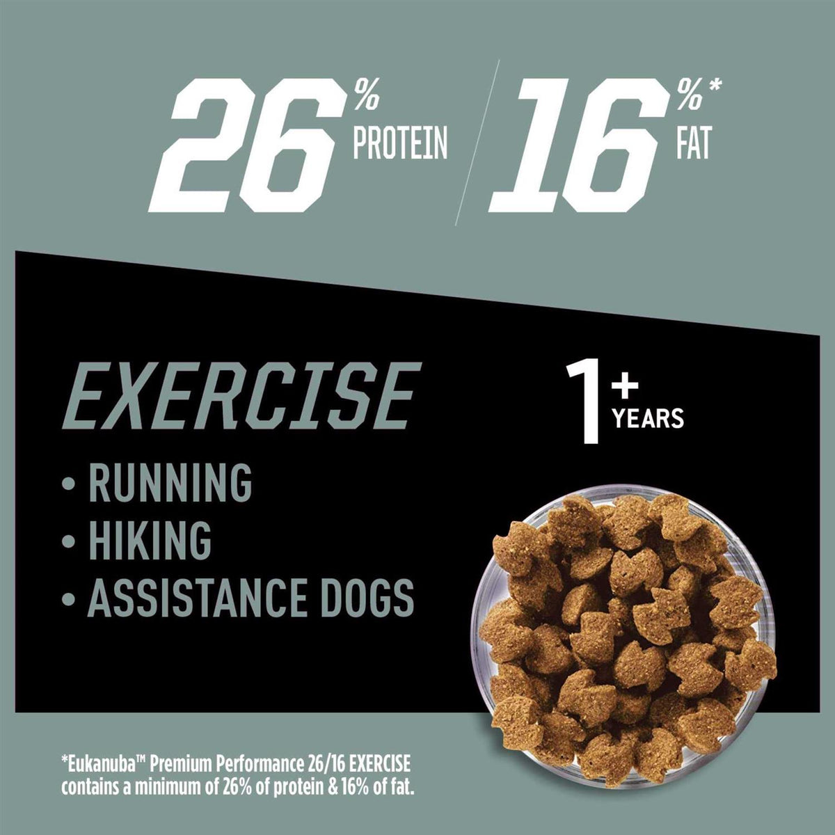 Dry Dog Food U837626