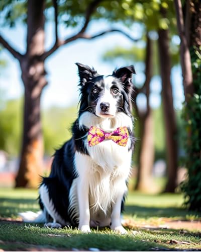 10 Pack Holiday Dog Bow Ties J4791