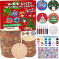 20 Pcs Natural Round Wood Slices Craft Kit C158