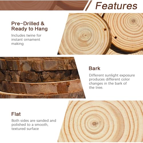 20 Pcs Natural Round Wood Slices Craft Kit C158