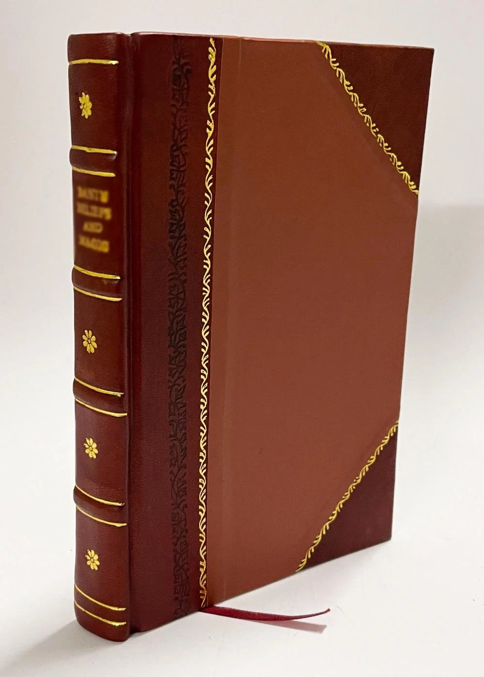Memoir Leather Bound V749