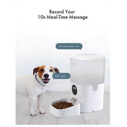 Automatic Dog Cat Feeder E8482