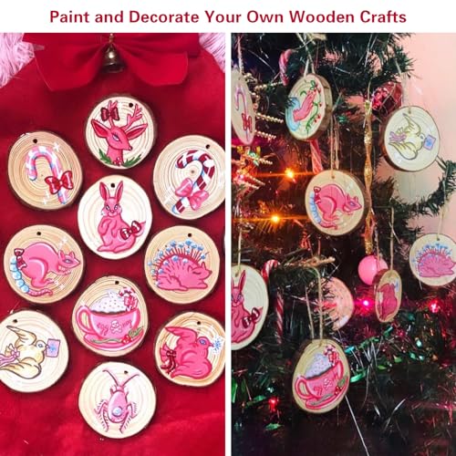 20 Pcs Natural Round Wood Slices Craft Kit C158