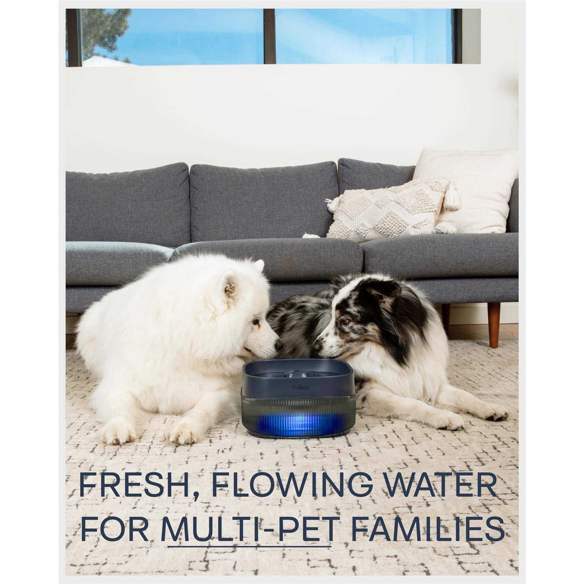 4L Automatic Dog Water Fountain S946455