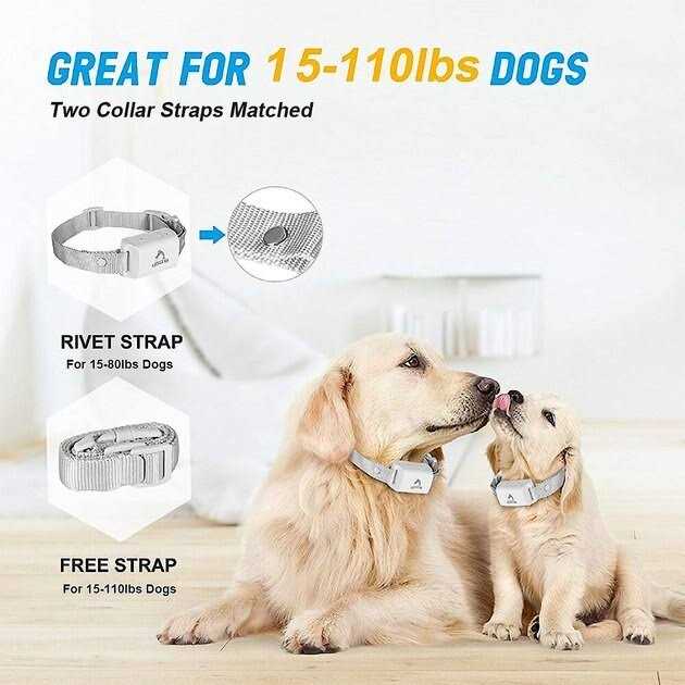 Anti-Bark Training Dog Collar Z77000