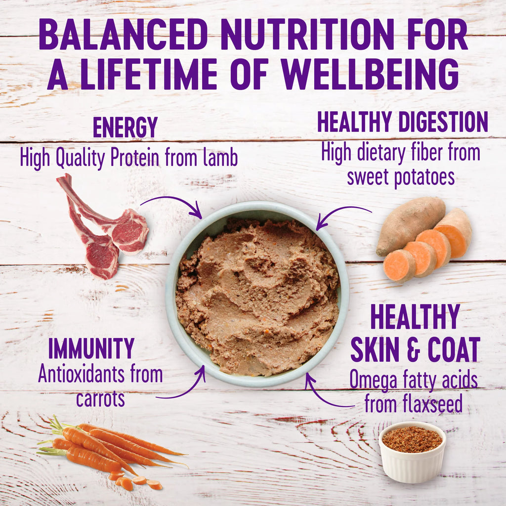 Natural Wet Canned Dog Food, Lamb & Sweet Potato, 12.5-Ounce Can (Pack of 12) L134097
