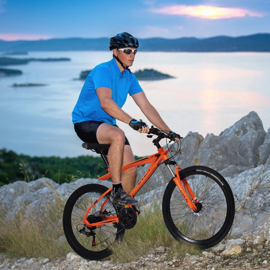 26 inch 21 Speed Mountain Bike V61866