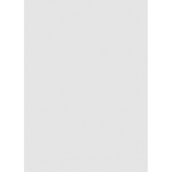 PVC Gable Vent with Brickmould R139495