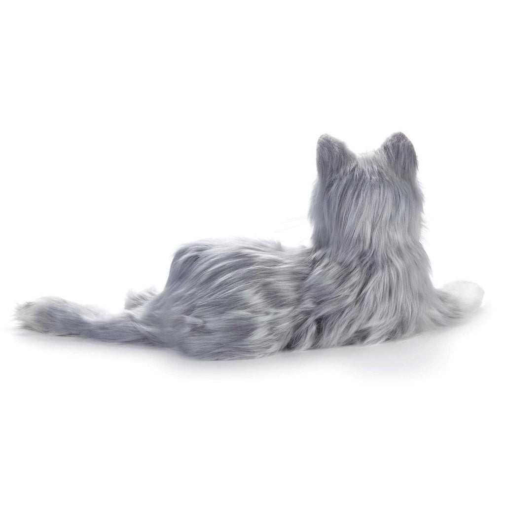 Companion Pet Cat W8725
