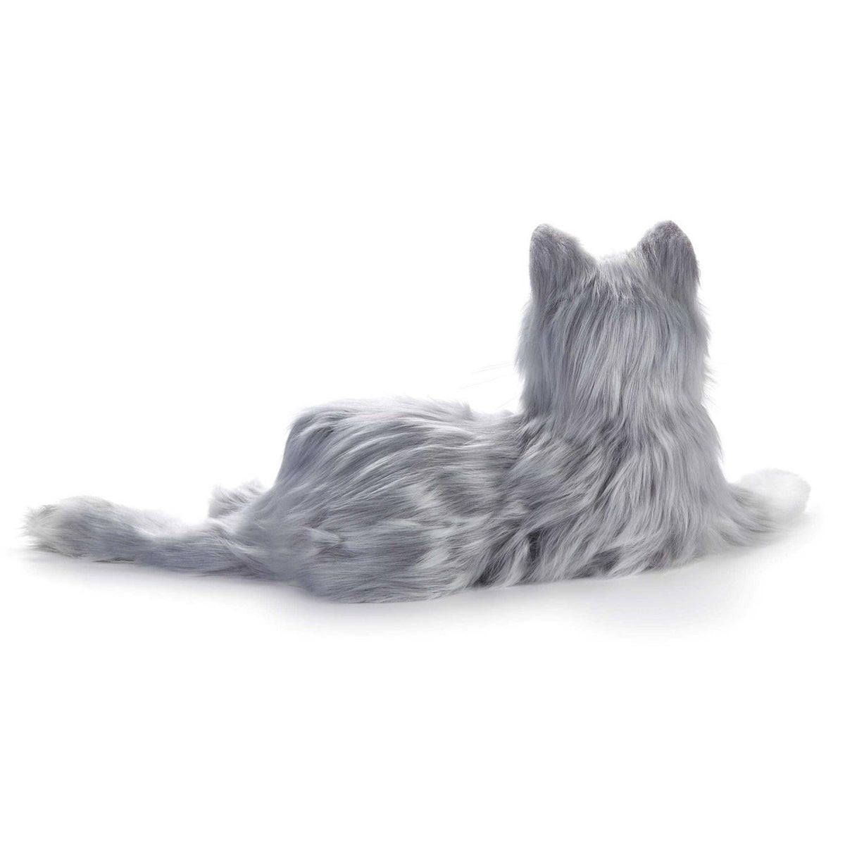 Companion Pet Cat W8725