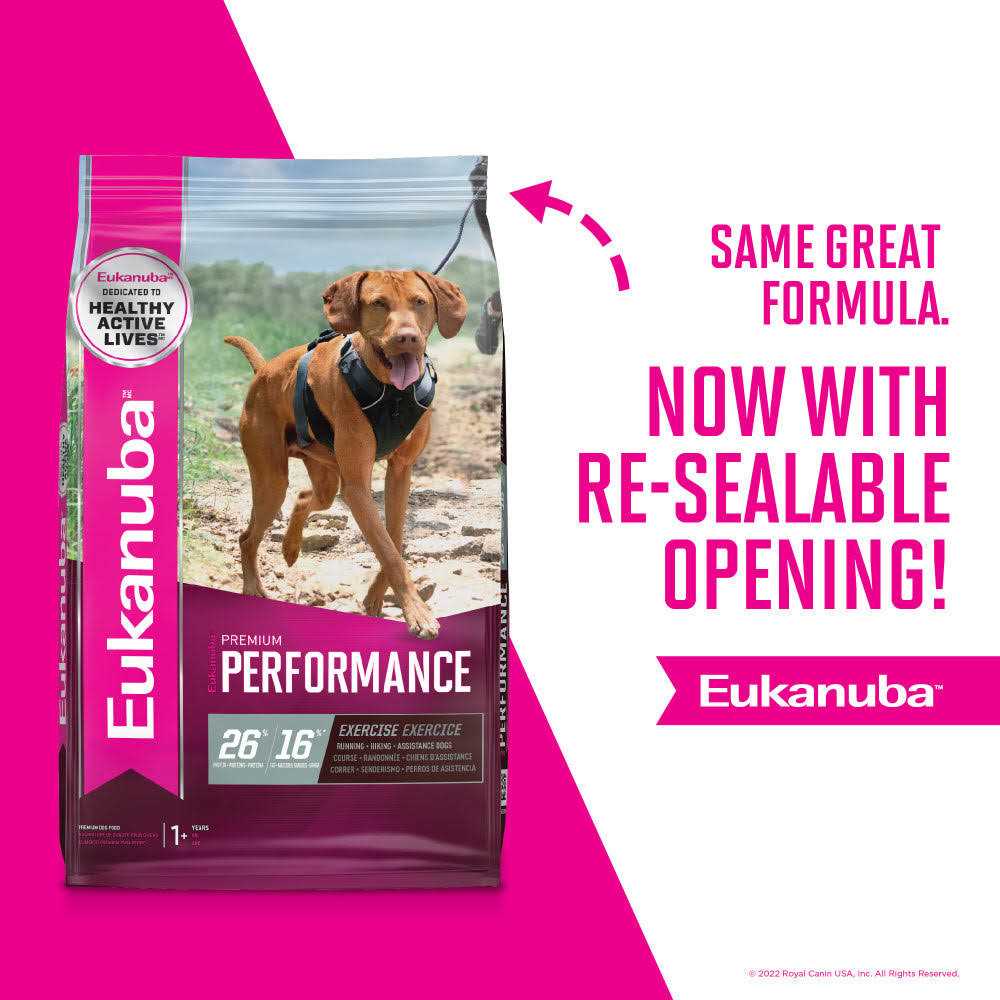 Dry Dog Food U837626