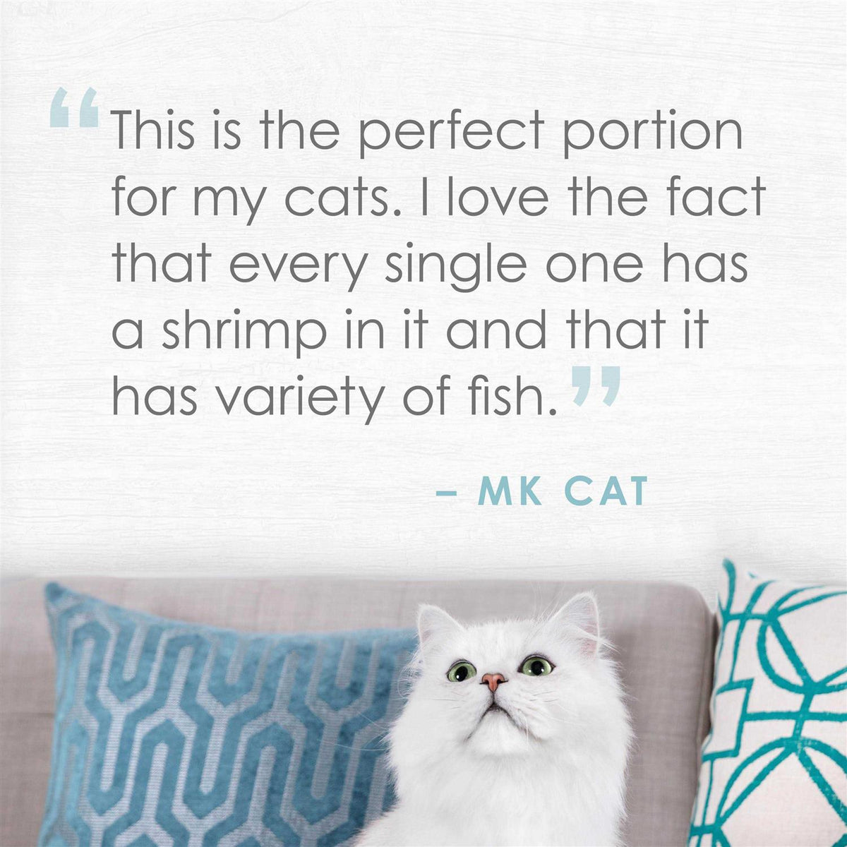 Natural Seabass & Shrimp in Broth Cat Food Q161