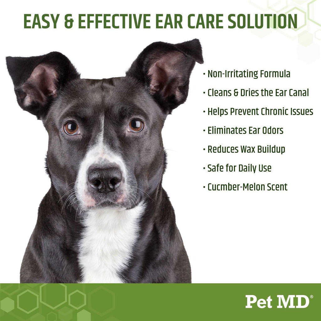 Aloe & Eucalyptus Dog Ear Wipes P250