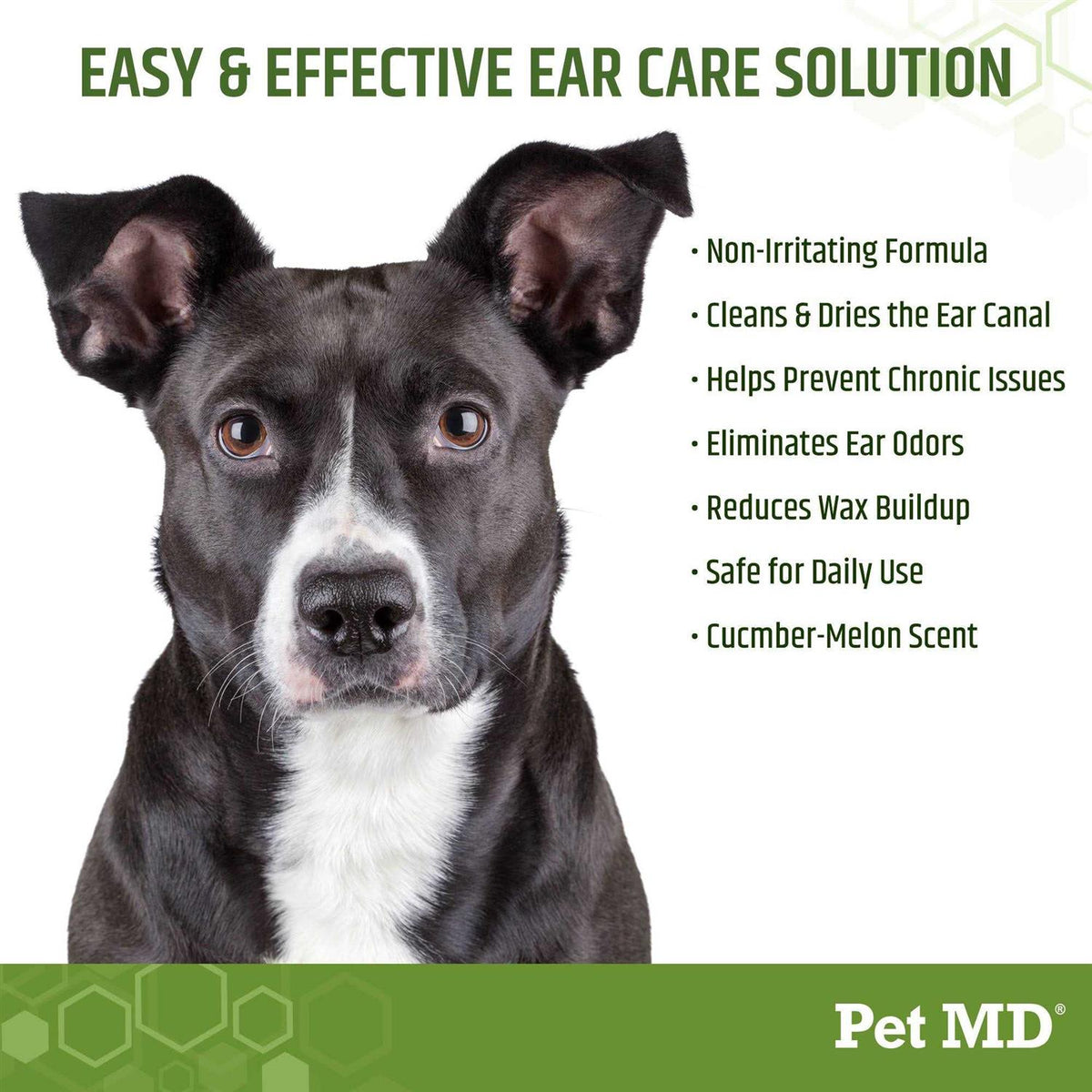 Aloe & Eucalyptus Dog Ear Wipes P250