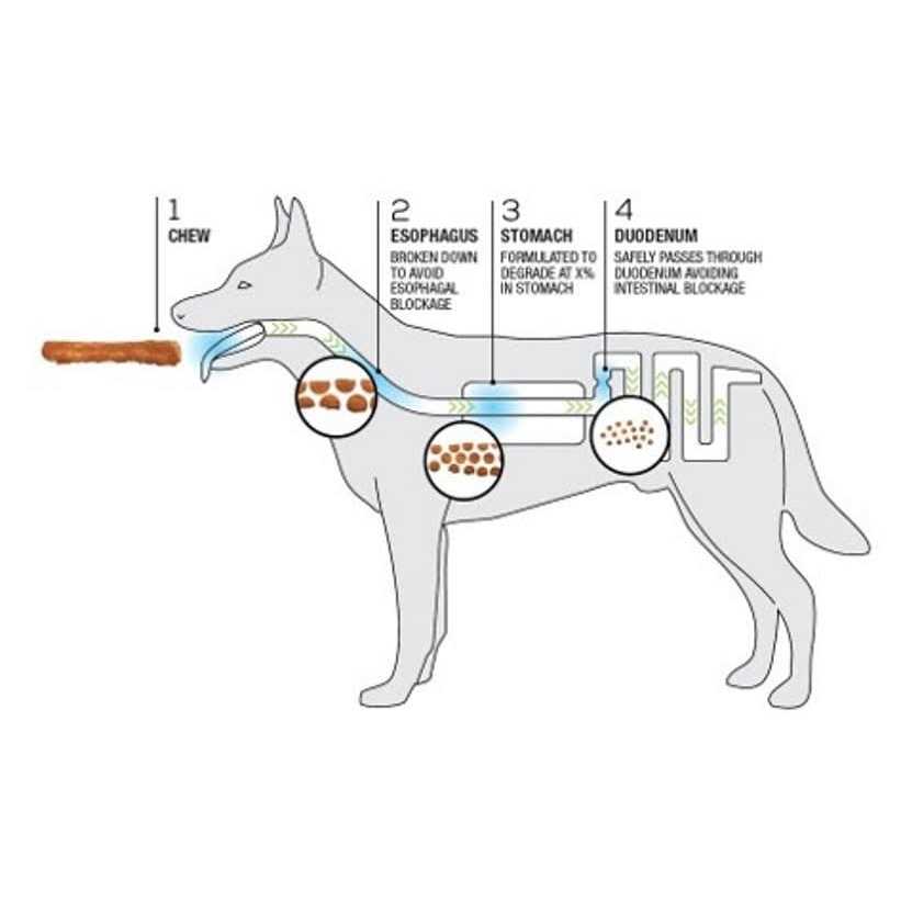 Dog Chews + Collagen Recipe C9335