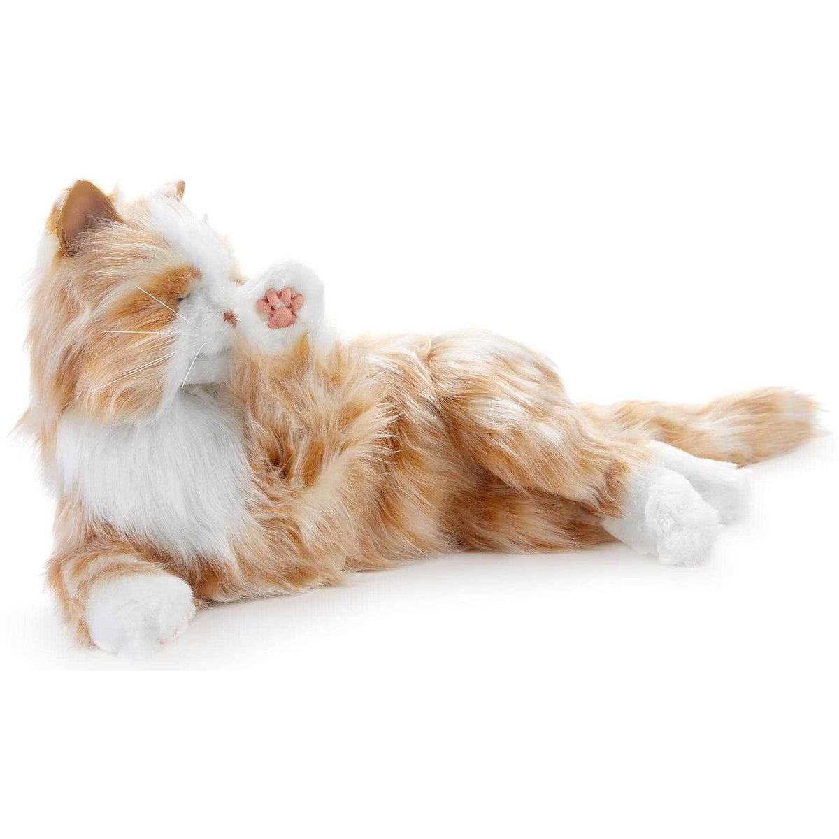 Companion Pet Cat W8725