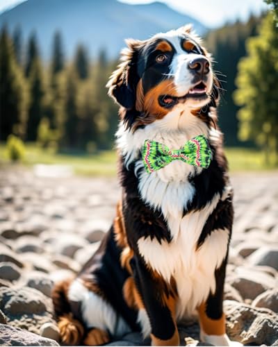 10 Pack Holiday Dog Bow Ties J4791