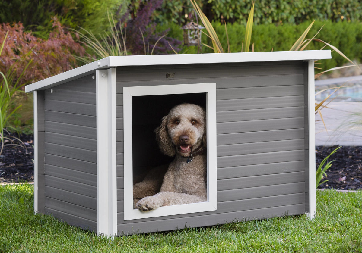 X-Large Gray Dog House D731865