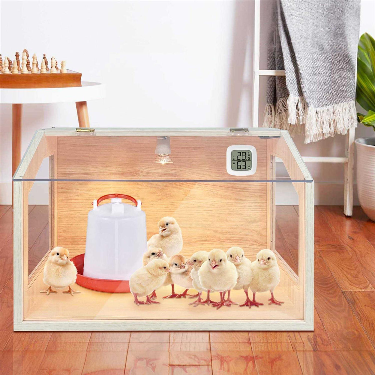 Intelligent Brooder Box with Built-in Heating Lamps Z832