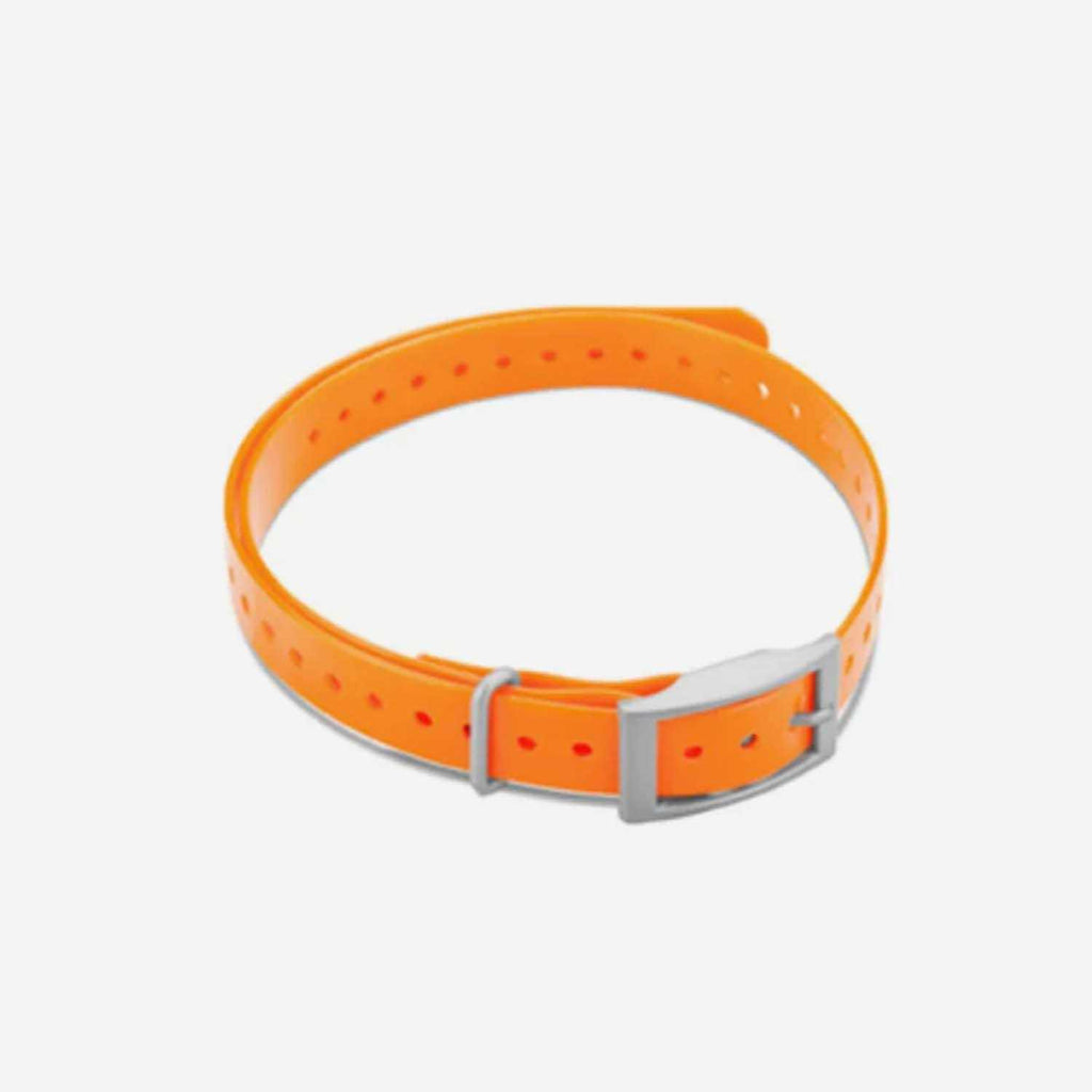 Collar Strap Y3335