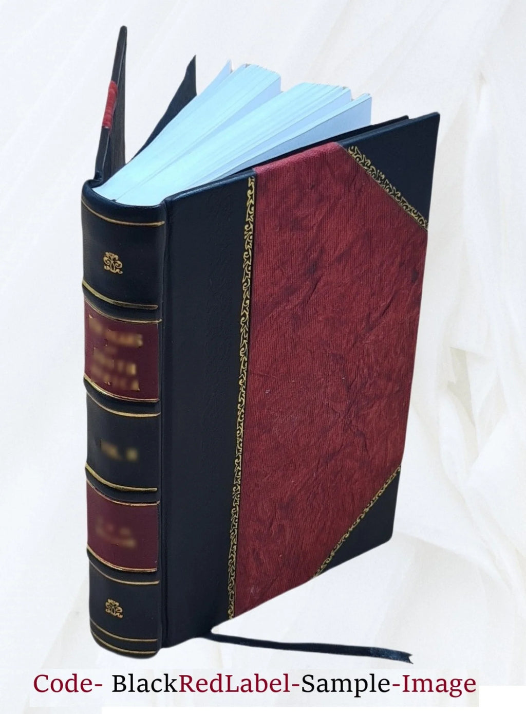 Leather Bound Book N989