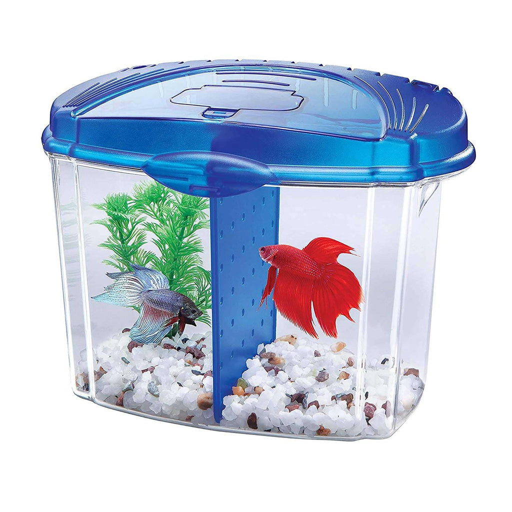 Betta Bowl Kit M531