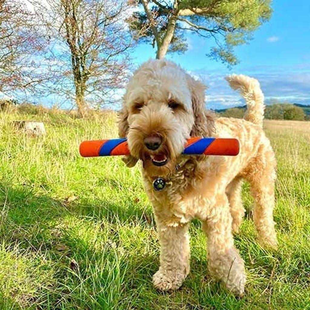 Dog Toy T985