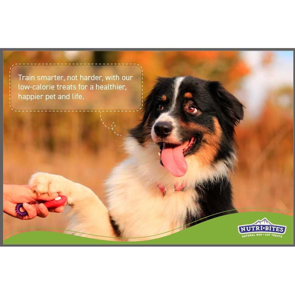 Freeze Dried Salmon Pet Treats 14 oz P6290